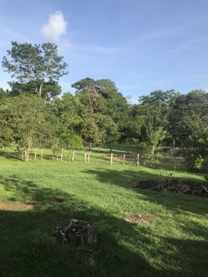 Villa Segura Manuel Antonio, Quepos Bagian luar foto